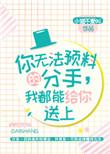 你无法预料的分手,我都能给你送上