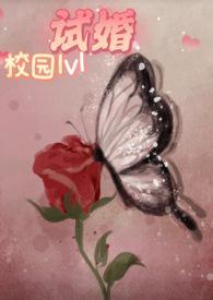 试婚(校园1v1 h