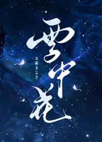 雪中花[西幻]